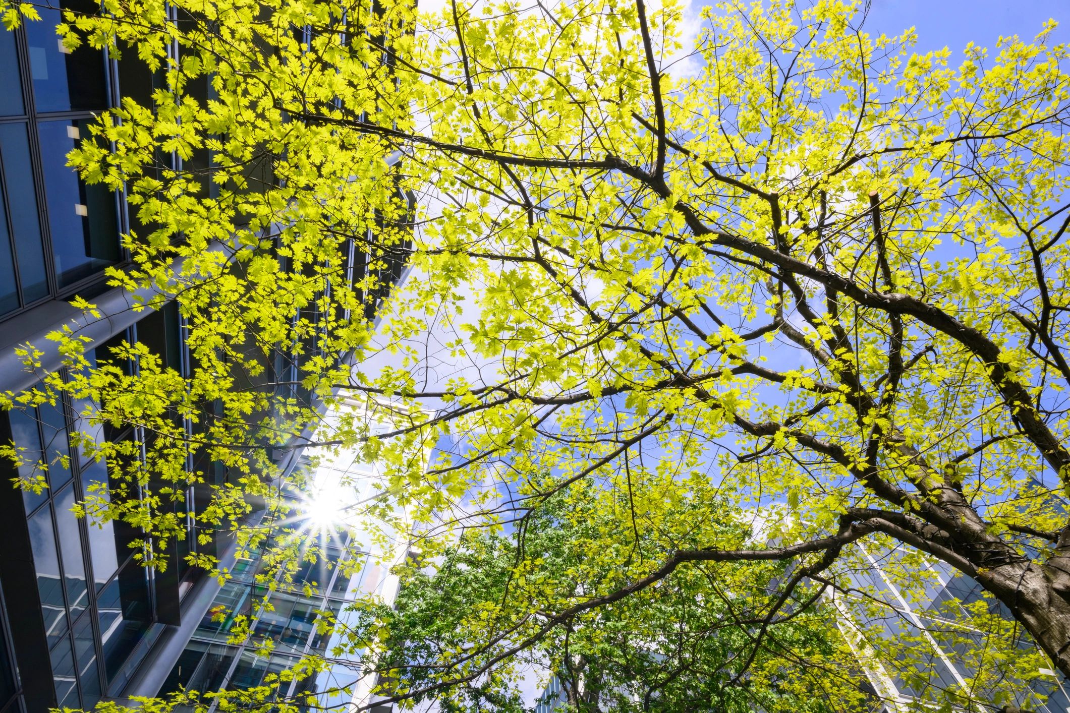 Sunlit modern office building symbolising transparency and robust governance